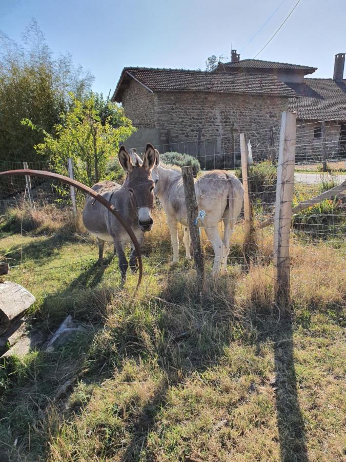 Вілла Les Figuets Chateauneuf-de-Galaure Екстер'єр фото
