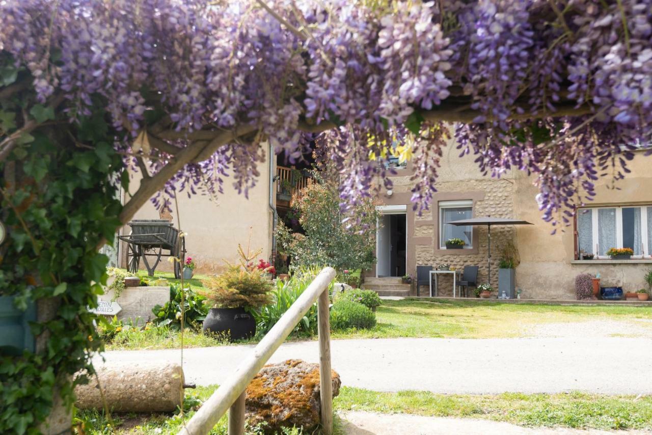 Вілла Les Figuets Chateauneuf-de-Galaure Екстер'єр фото